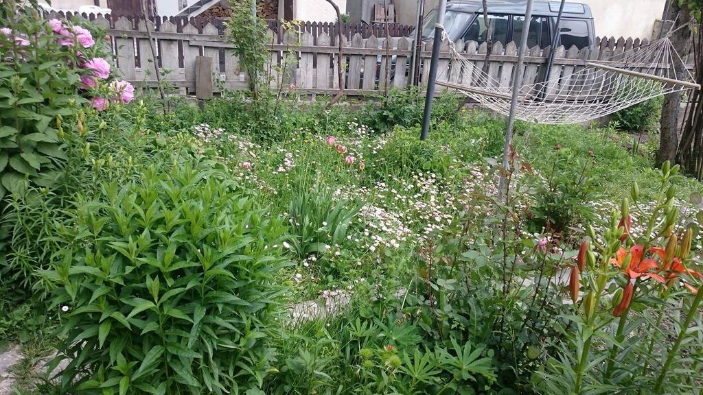 N&N Guest House Mestia Ngoại thất bức ảnh
